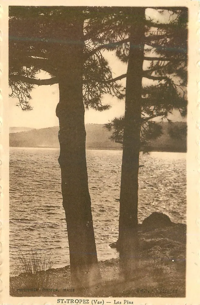 ST-TROPEZ (Var) — Les Pins — Fotograf Commer, Mâcon - Awers