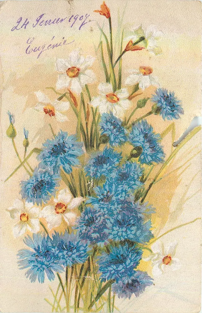 Arranjo de narcisos e cornouillas — editor não visível — datada 24 de fevereiro de 1902 - Frente