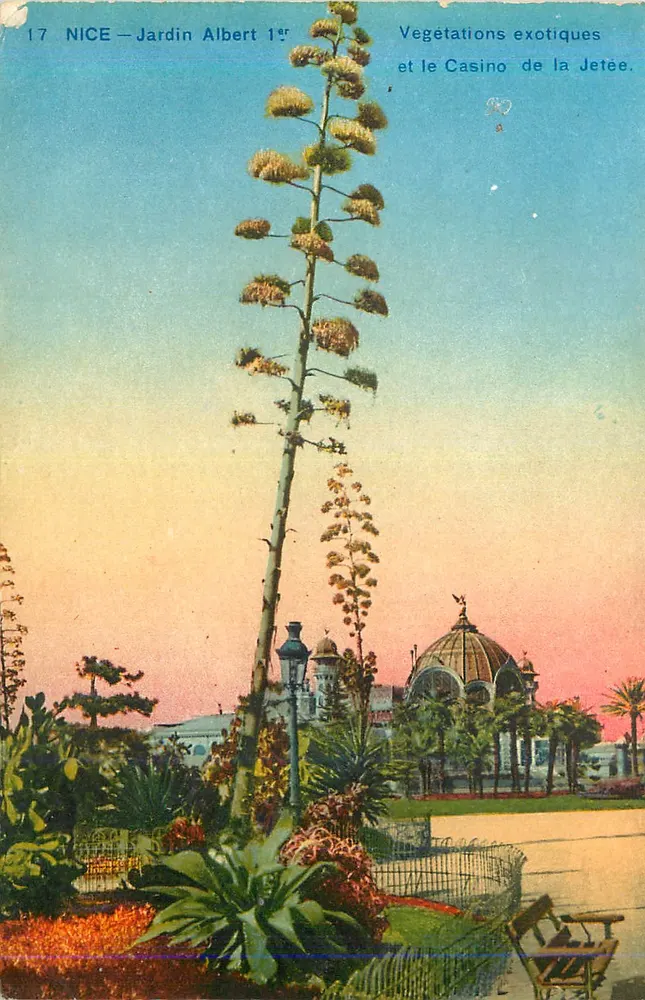 NICE — Garten Albert I — Exotische Pflanzen und das Casino de la Jetée - Vorderseite