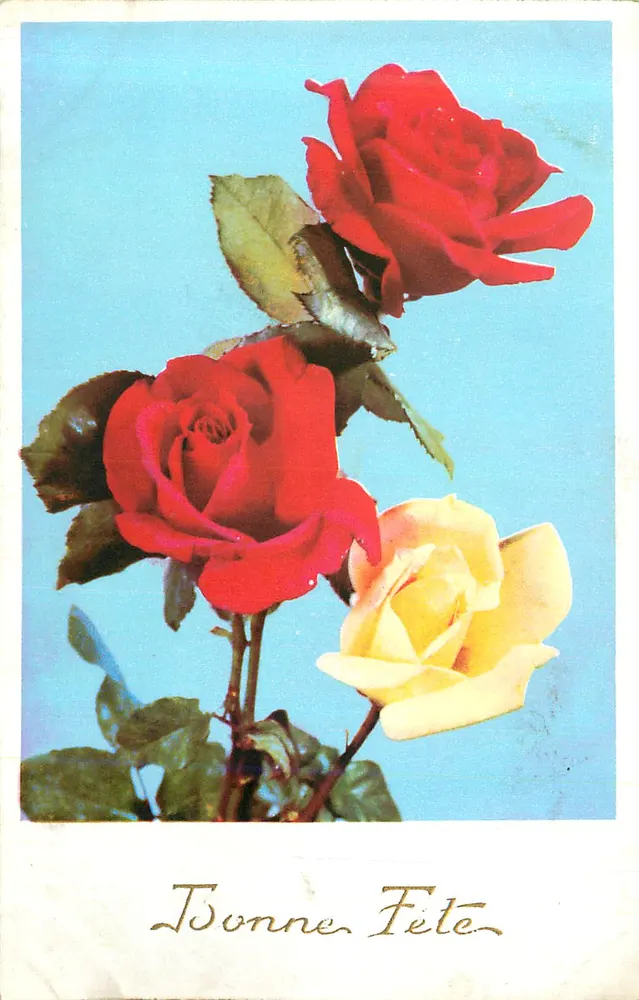Rosas — Boa Festa — M.D. Série N° 1470 - Frente