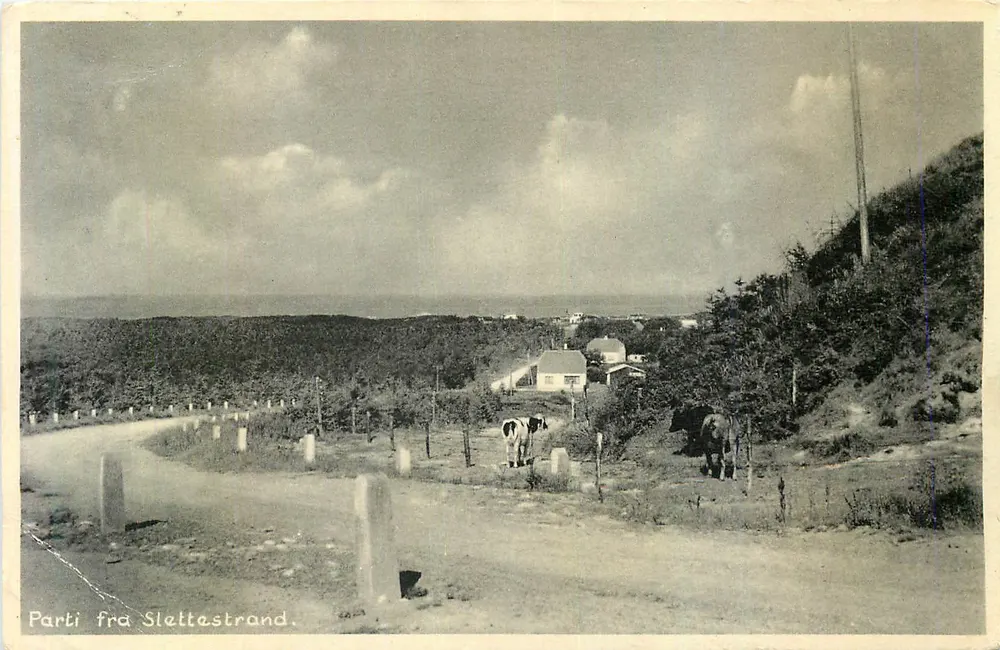 Parti fra Slettestrand — panoramische uitzicht — onbekende uitgever - Voorkant