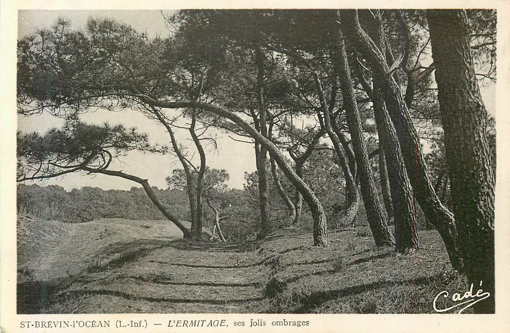 ST-BRÉVIN-L'OCEAN (L.-Inf.) — L'ERMITAGE, seine schöne Schatten — Cadé - Vorderseite