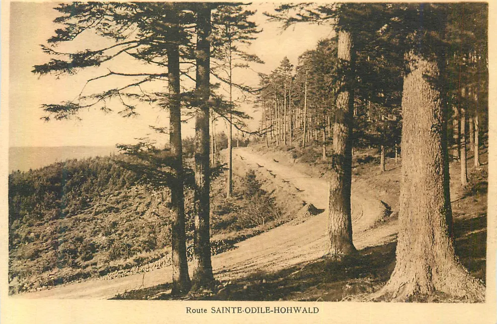 Rodovia Sainte-Odile-Hohwald — vista de floresta e estrada de montanha — Félix Luib, editor, Strasbourg - Frente