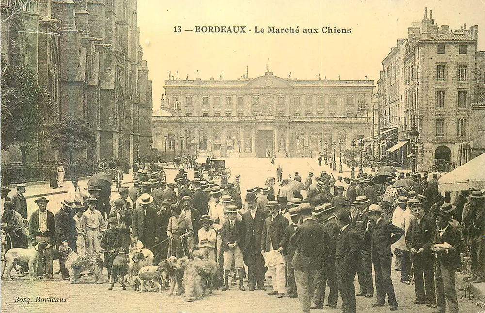 Bordeaux - O Mercado dos Cães — Bosq. Bordeaux, n°13 - Frente
