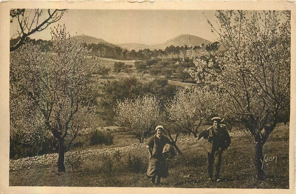 Deux personnes dans un verger en fleurs — La Douce France, Côte d'Azur — Édition Yvon, n°199 - Recto