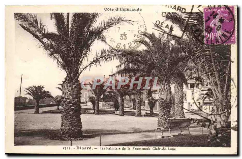 Dinard — Les Palmiers de la Promenade Clair-de-Lune — Côte d’Émeraude - Recto