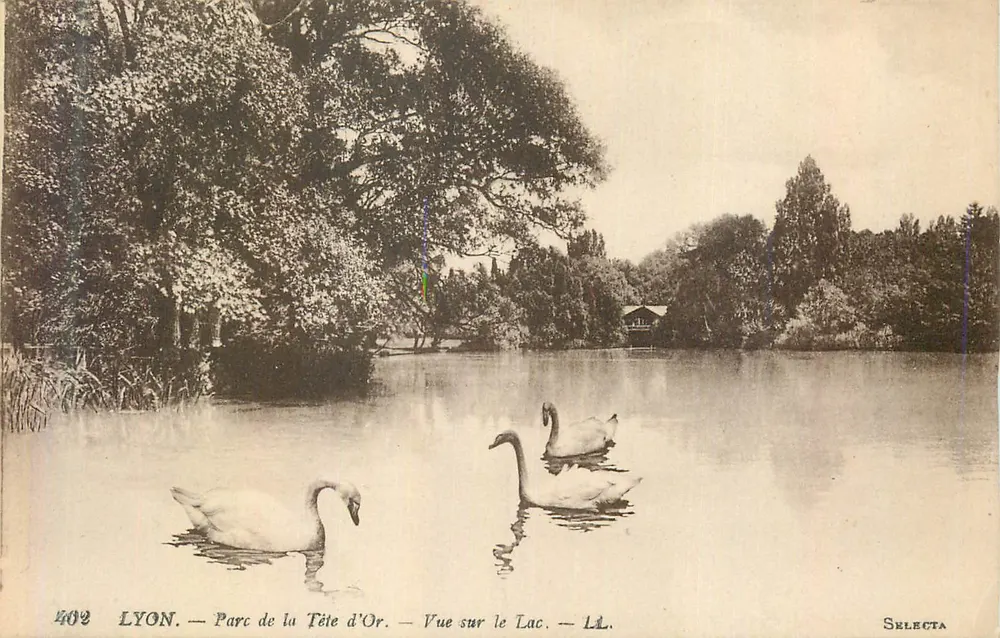 LYON — Parc de la Tête d'Or — Blick auf den See — SELECTA - Vorderseite