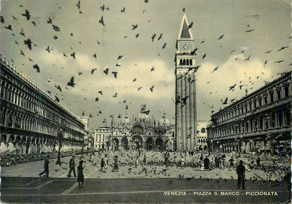 Veneza - Piazza San Marco - Piccionata — visão com pombos e campanário - Frente