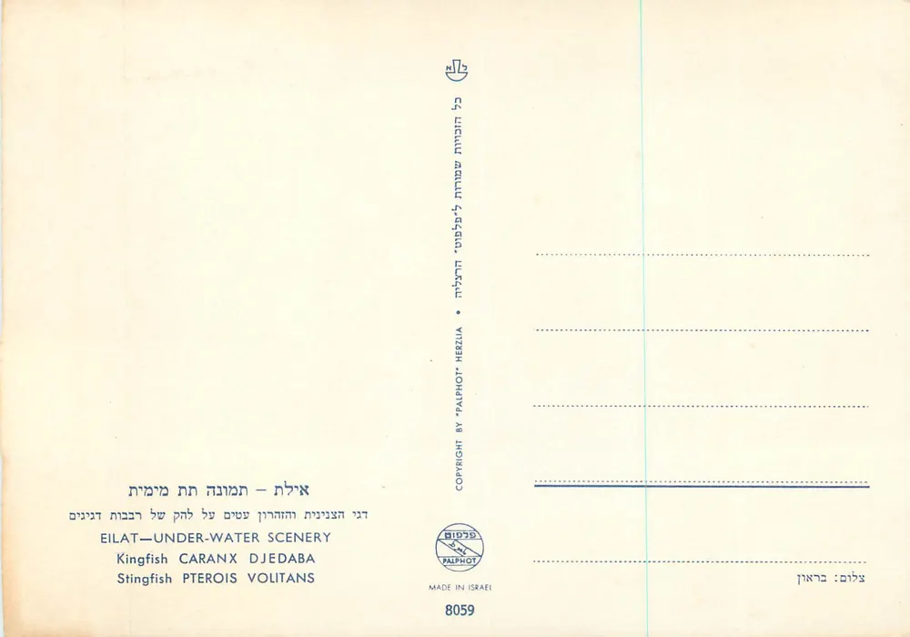 Eilat — Unterwasser-Szenerie — Königsfisch & Stachelrochen - Rückseite