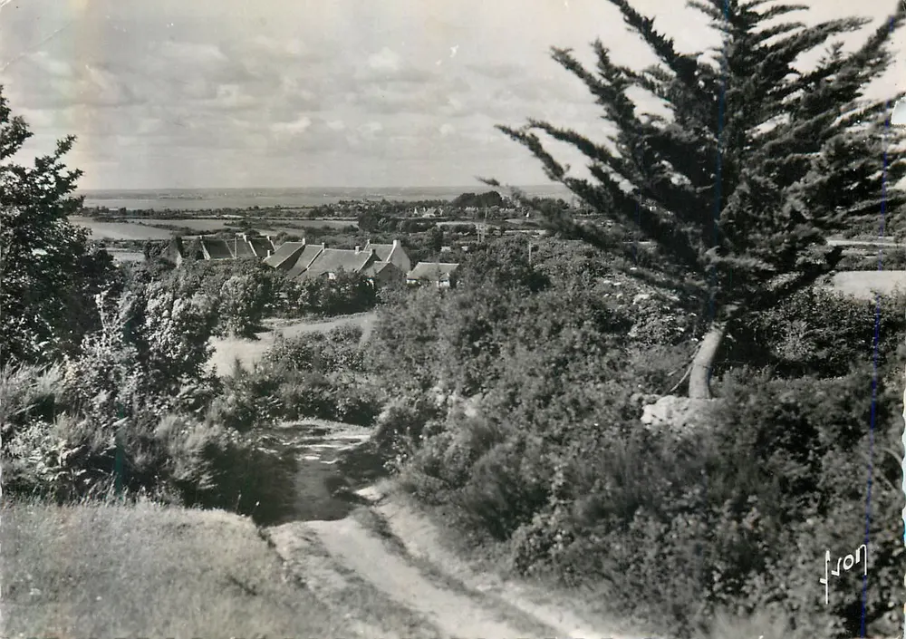 Vue panoramique — village au bord du Golfe du Morbihan — éditeur Les Éditions d'Art, n° I.B. 5468 - Frente