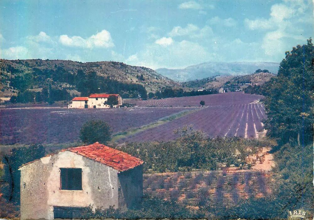 Lavendel in Blüte — Reflektionen der Côte d'Azur — Verlag La Géogne - Vorderseite