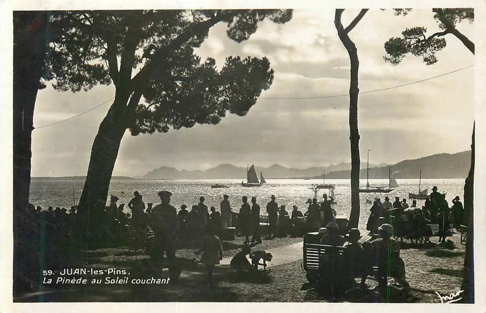 Juan-les-Pins — La Pinède au Soleil couchant — Les Éditions Mar - Recto