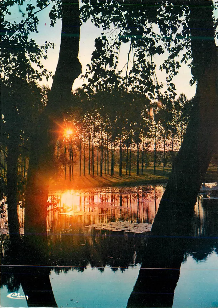 Lago de Sologne — Ao pequeno amanhecer — Laurier d'Or Création, 35-000 - Frente