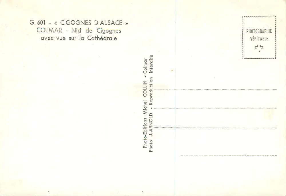 Colmar — Storchennest mit Blick auf die Kathedrale — Foto J. Arnold, Éditions Collin - Rückseite