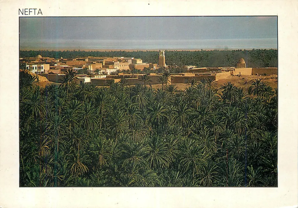 Nefta — vista aérea — TUNISIE LUMIERE n°017 - Anverso