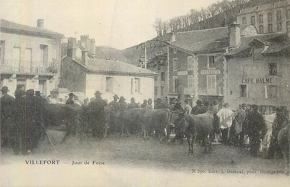 Villefort — Dag van de Markt — J. Gascuel, fot. Bessèges - Voorkant