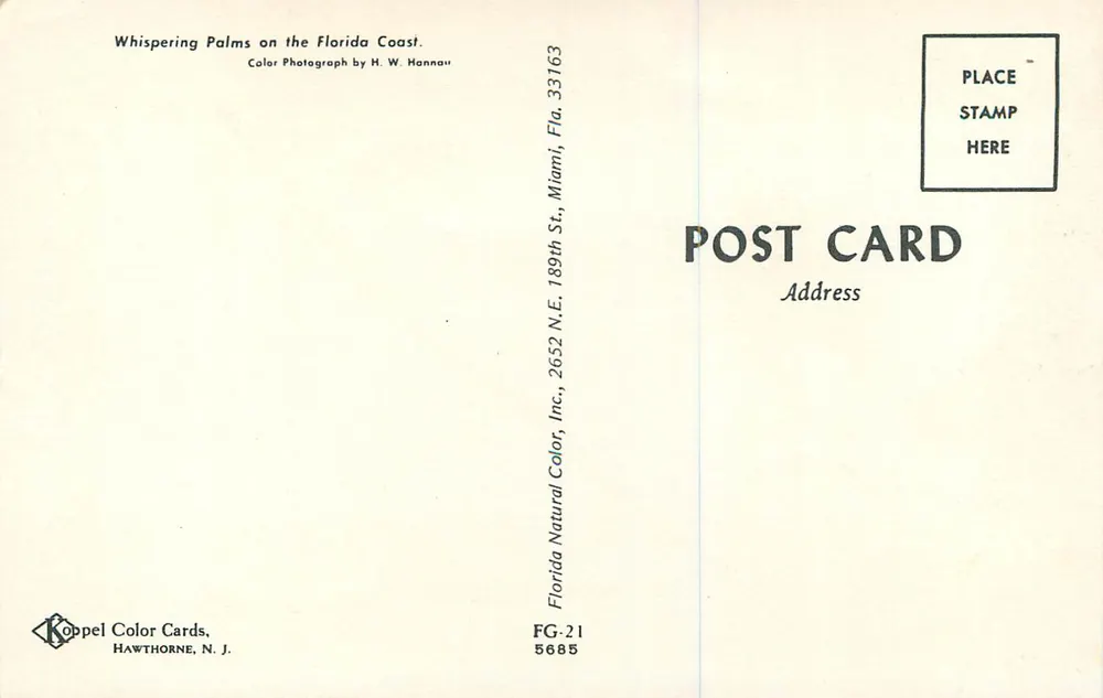 फ्लोरिडा के तट पर चुपचाप पाम — रंगीन फोटोग्राफी द्वारा H. W. Hannau — Koppel Color Cards, हॉव्थर्न, N.J. - पीछे
