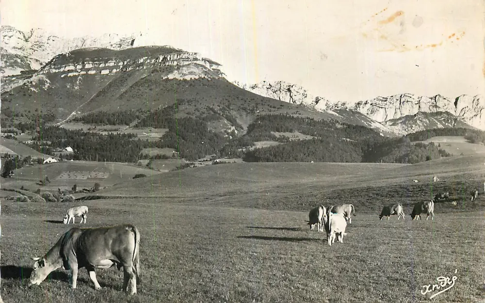 Die schönen französischen Alpen — Weide am Fuße des Cornafion — Edition d'Art Andry, Grenoble - Vorderseite