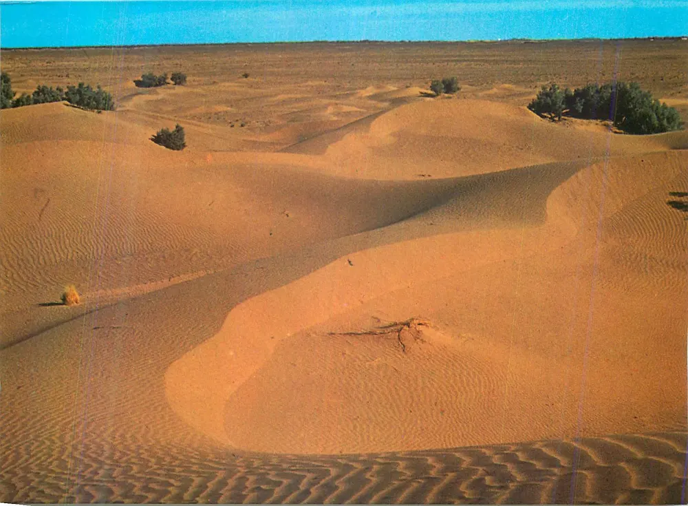 Dunas de M’Hamid — Marrocos pitoresco — Color Marrakech, n°448 - Frente