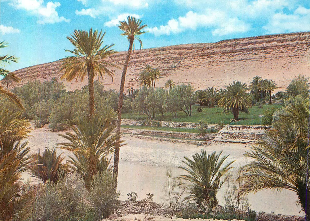 Vale Ziz — Marrocos — DIFIKOT s.a.r.l. - n° 033 - Frente