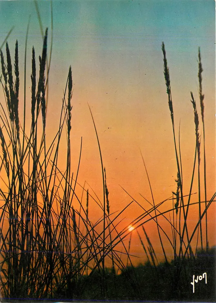 Sonnenuntergang — Kunstausgabe Vyon-Arcueil — Nr. 10 00 6013 - Vorderseite