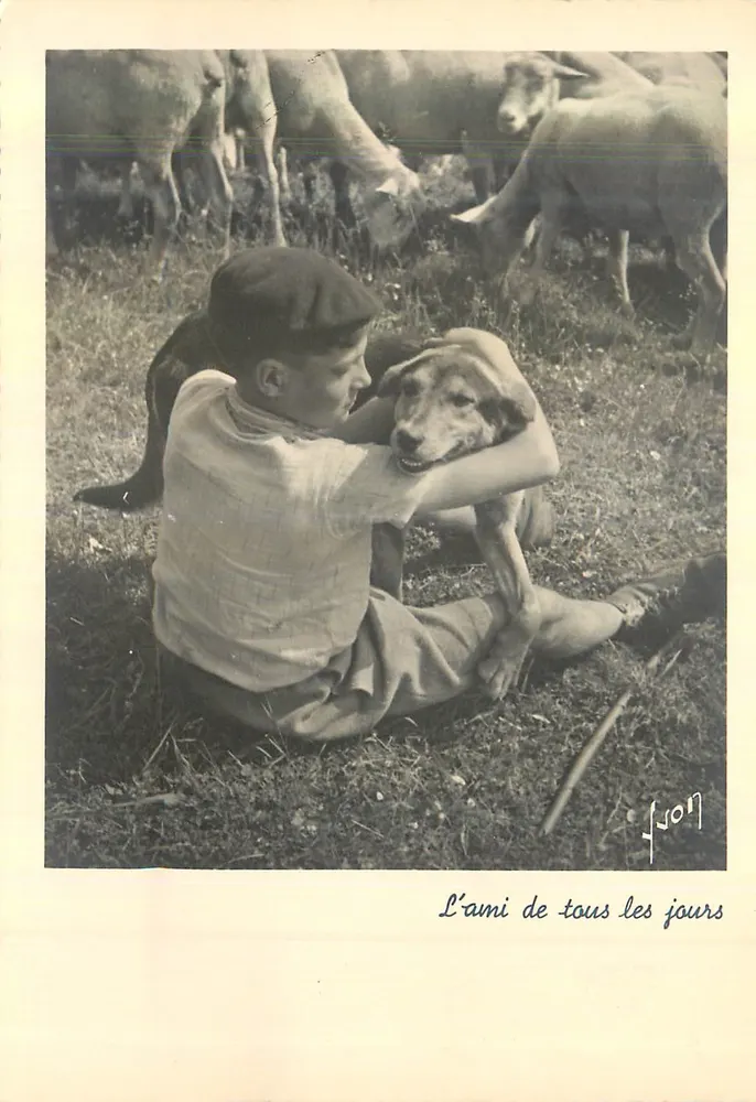 Enfants et chien avec moutons — L'ami de tous les jours — Éditions d'Art Martel, F.I.B. 59 - Recto