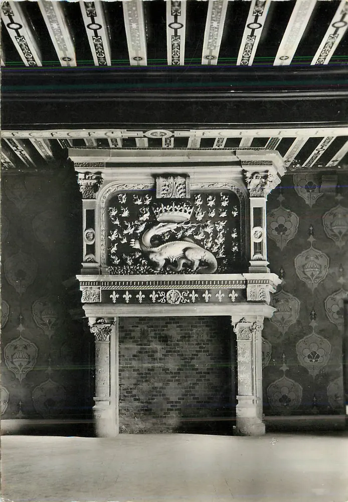 Das Schloss Blois — Die Schlampe, das Emblem von Franz I. - Vorderseite