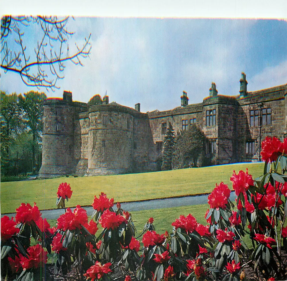 Castelo de Skipton — 'Guerreiro Desconhecido' Rhododendros florescem ao lado do castelo — Impressa na Yorkshire, série Y1 - Frente