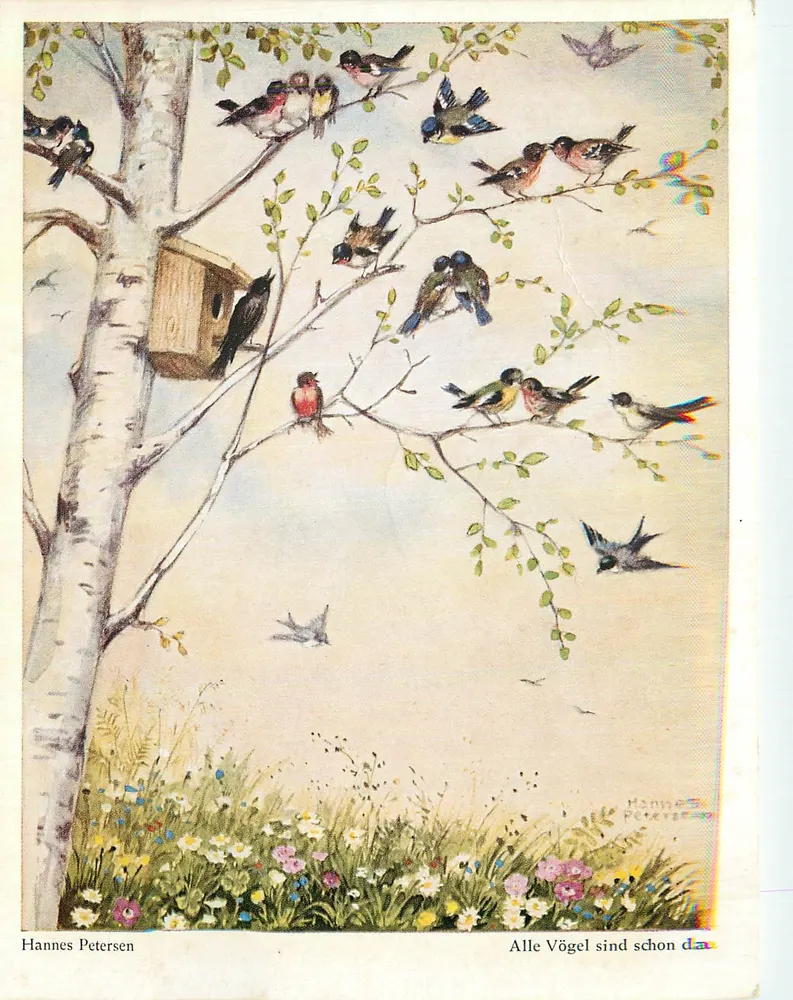 Birds in a Poplar — illustration by Hannes Petersen — series Wiedmann-Bildkarten no. 935 - Front