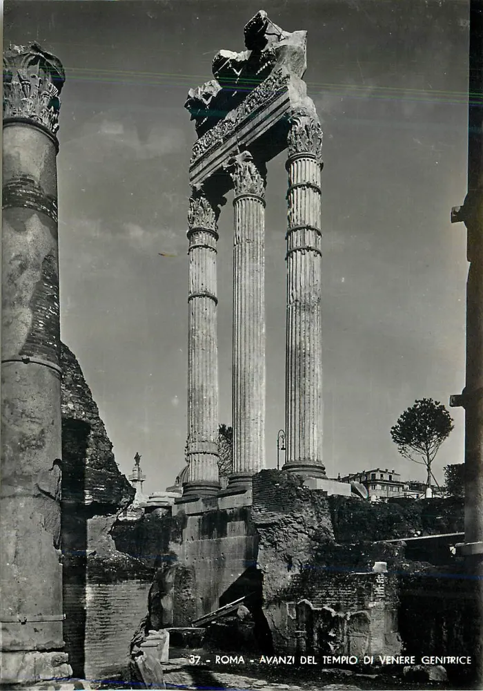 Roma — Avanzi del Tempio di Venere Genitrice — E. Richter, Roma - Frente