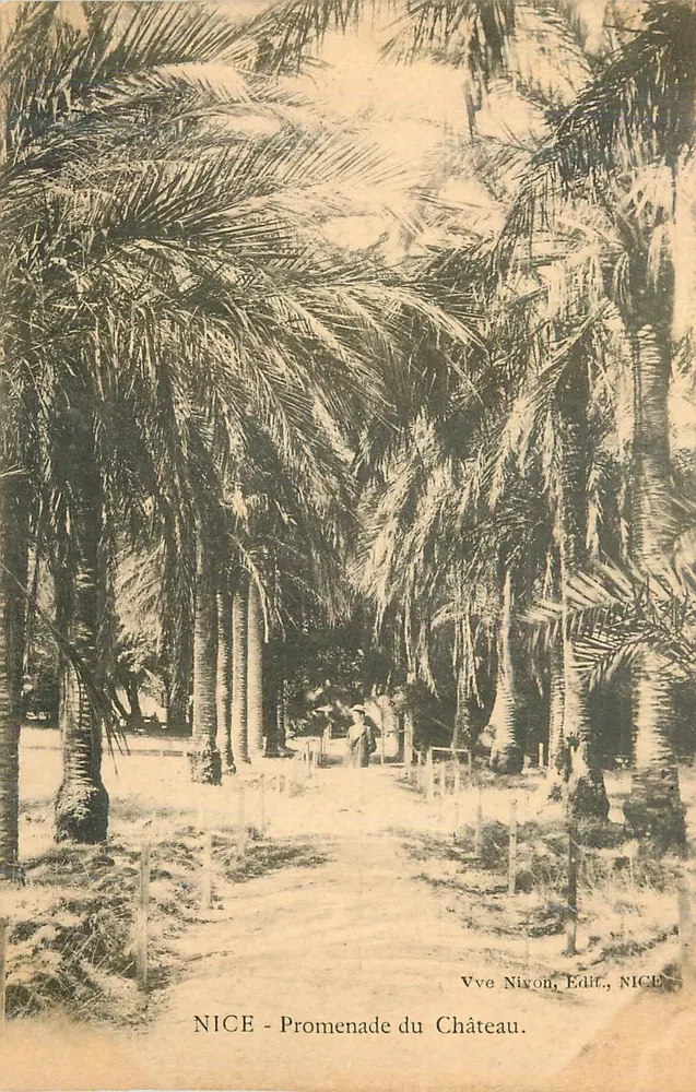 NICE - Promenade du Château — allée ombragée de palmiers, éditeur Vve Nivon, NICE - Awers