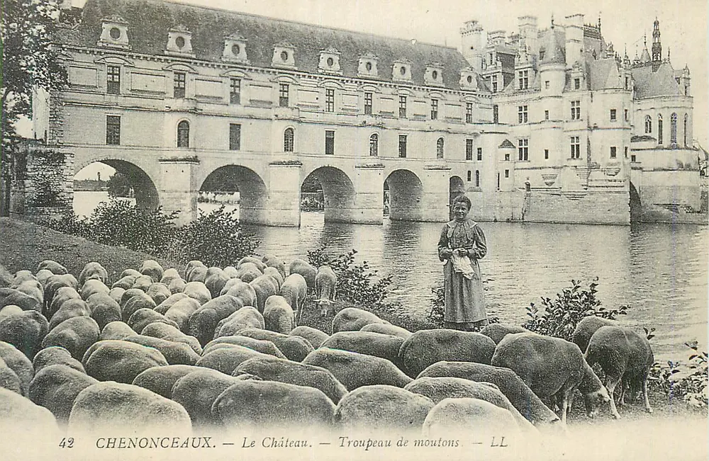 Chenonceaux — O Castelo — Rebanho de ovelhas — LL - Frente
