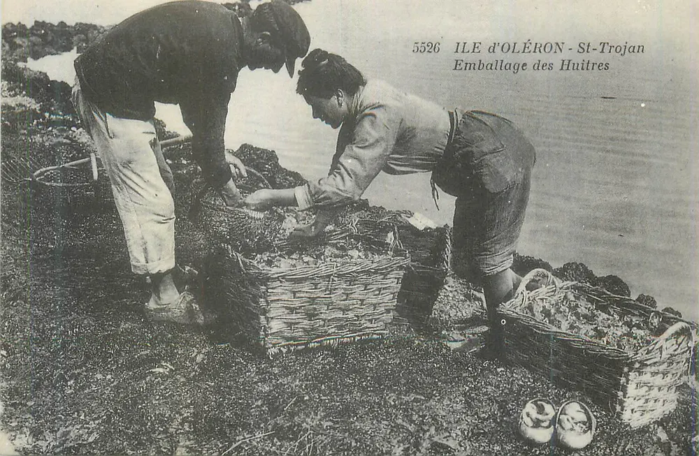 Ile d'Oléron - St-Trojan — Emballage des Huitres - Recto