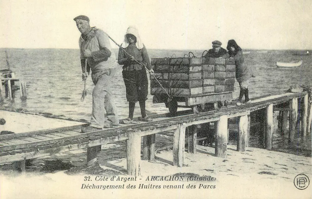 Costa de Argent - ARCACHON (Gironde) — Descarregamento de Ostras Vindas dos Parques - Frente