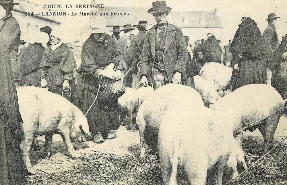 Lannion — Der Prinzenmarkt — Toute la Bretagne, Nr. 534 - Vorderseite