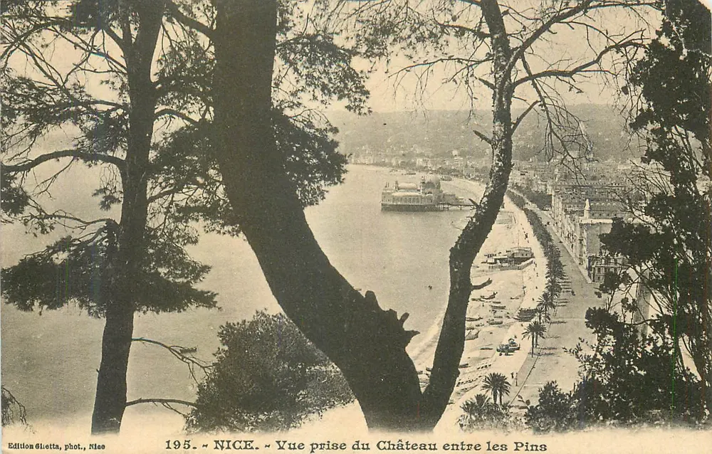 NICE — Vue prise du Château entre les Pins — Édition Giletta, phot. Nice, n°195 - Recto