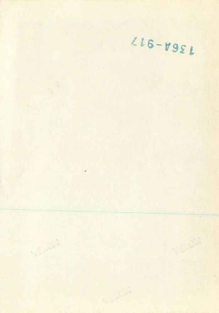 Alpin dorp in dal — bergen in de achtergrond — Véloa, nr. 136A-917 - Achterkant