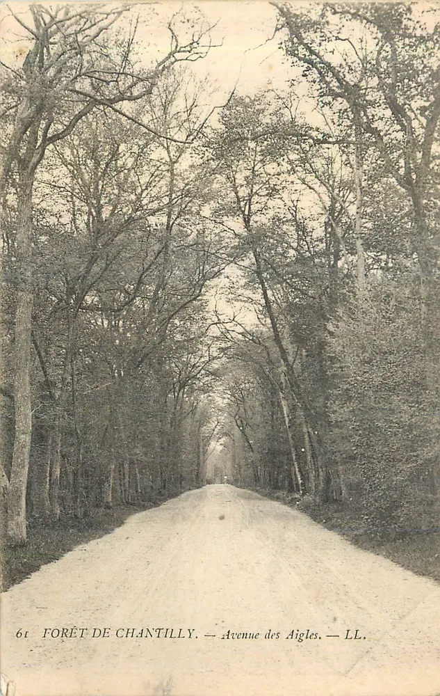 Woud van Chantilly — Avenue des Aigles — LL. - Voorkant