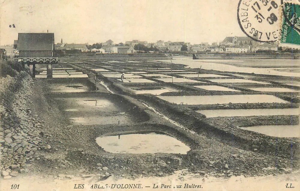 Les Abbes-d'Olonne — O Parque das Ostras. LL. n°101 - Frente