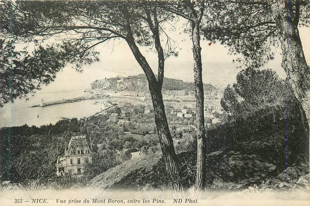 NICE — Ansicht von Mont Boron, zwischen den Kiefern — ND Fotografie n° 353 - Vorderseite