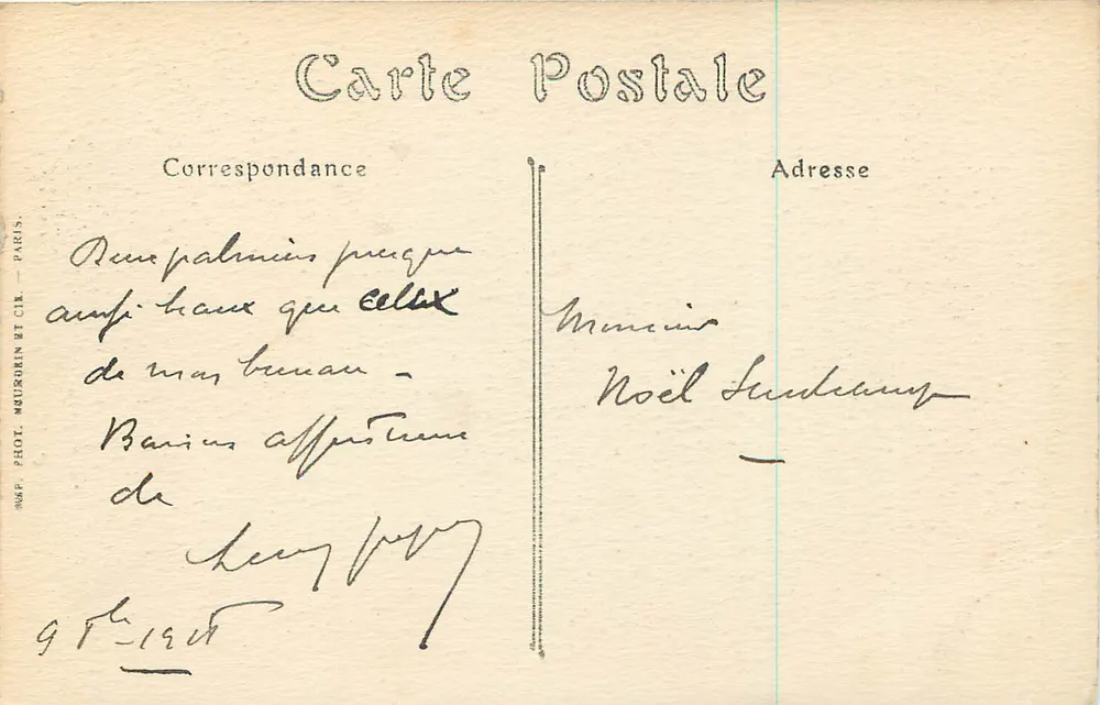 NICE (Alpes-Maritimes) — Die Mole-Promenade durch die Palmen — ND.P. n°276 - Rückseite