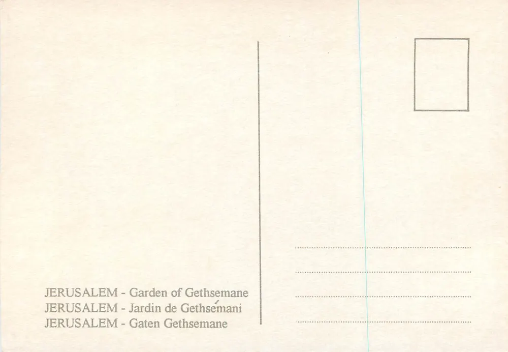 Jardim de Gethsémane — Jerusalém — Editor não visível - Verso
