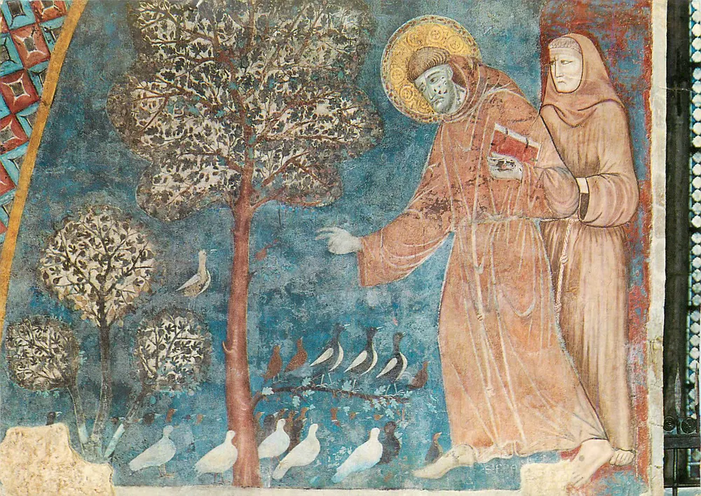 Assisi - Saint François prêche aux oiseaux — Basilique de S. Francesco (Chiesa Inferiore), éditeur Frati Minori Conventuali, n° 158 - Recto