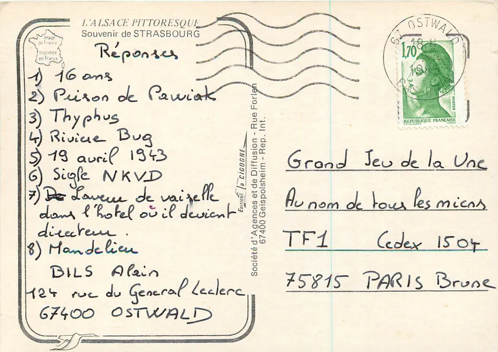 Cathédrale de Strasbourg — stork's nest — IRIS - Verso