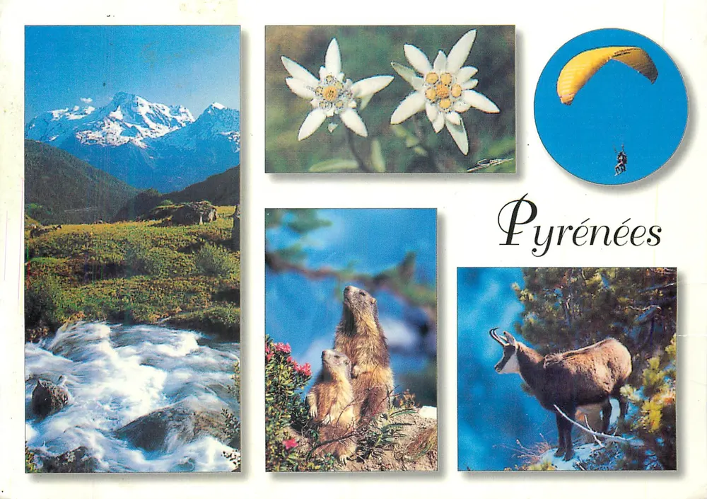 Pirineus — paisagem, flores, animais e parapente — Difficulaires N°142 - Frente