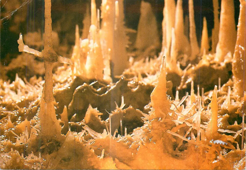 Grotte du Grand Roc — Les Eyzies-de-Tayac (Dordogne) — Éditions Interdite - 87-505 - Vorderseite
