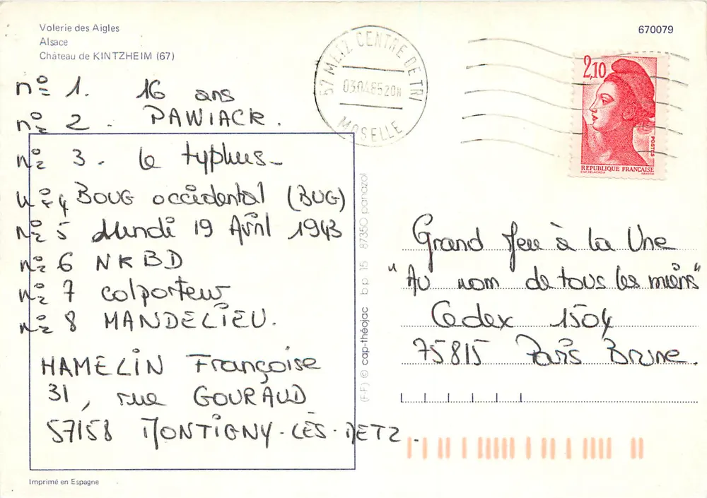 Aigle en vol — Volerlie des Aigles, Château de Kintzheim (67) — Imprimé en Espagne - Verso