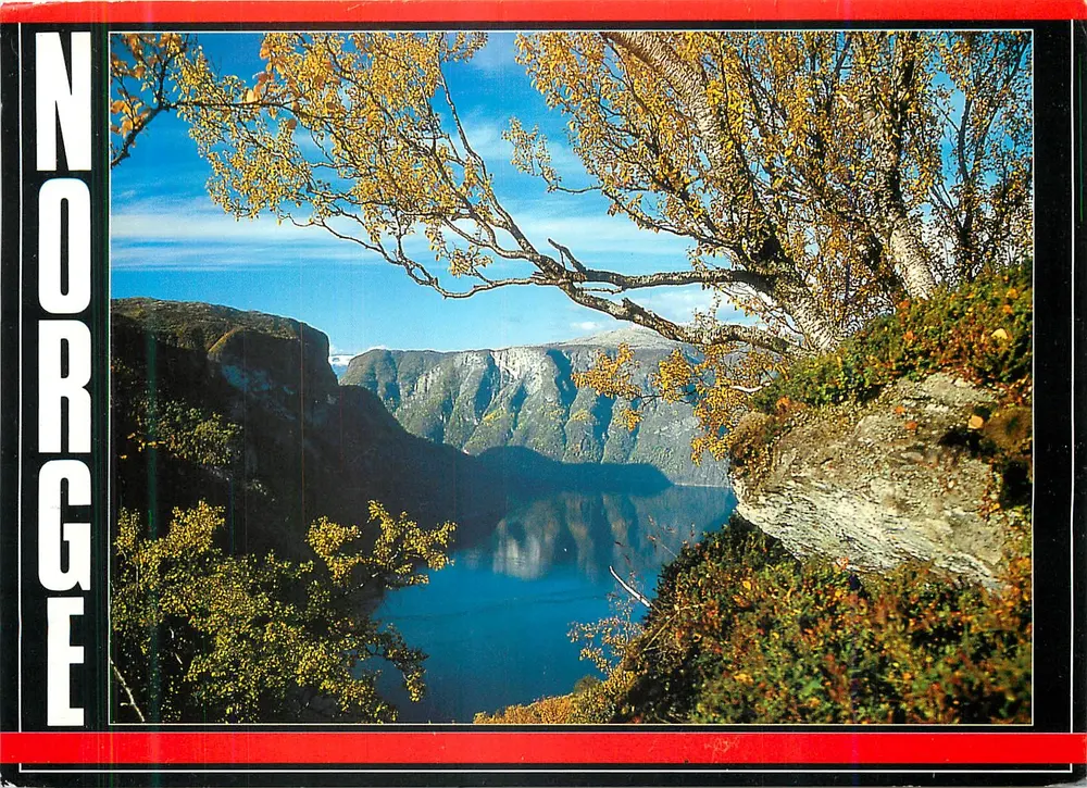 Aurlandsfjord — Norwegia — wydawca Enerett E. A. Viksland, n° 141-90 - Awers