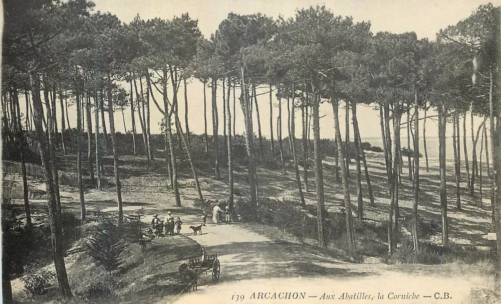 Arcachon — Nos Abatilles, a Corniche — C.B. — n°139 - Frente