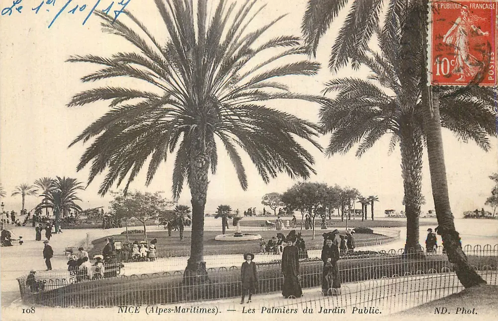 NICE (Alpes-Maritimes) — De Palmen van het Publieke Tuin — ND. Fot. - Voorkant